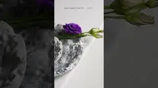 Borrowed Earth Objects &mdash; Infinite Sentiments, Defined in Form