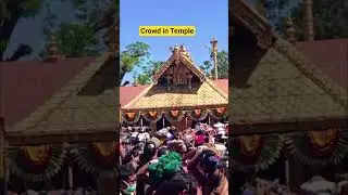 Sabarimala Kerala ‼️ Crowd in Temple #trending #viral #viralvideo #viralshorts #shorts