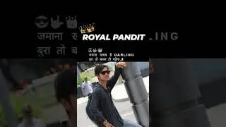 ROYAL PANDIT