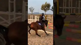 This is how the air vest works 🤓💪🏻 #equestrian #gilaryeq #horse #showjumping #girlrider #fy #fyp