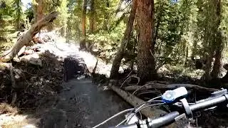 Mammoth bike park beginner/intermediate