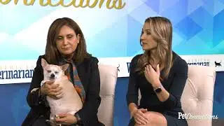 Advice to Owners of Diabetic Pets
