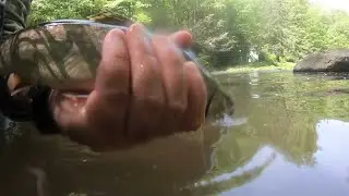 Penns Creek Flyfishing- 2022 Pennsylvania Trout Tour