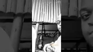 black samino