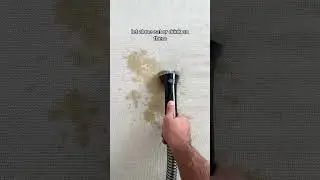 The one cleaning tool you need