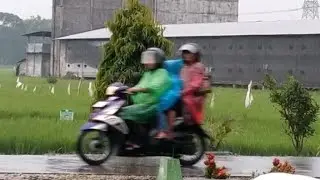 Sweet Dream with Continuous Rain Sounds || Rain for Sleeping