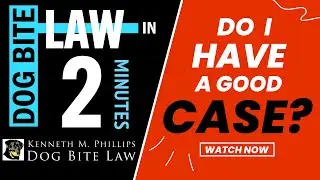 Do I Have a Good Case for a Dog Bite? | 3 Things That Make or Break Your Claim