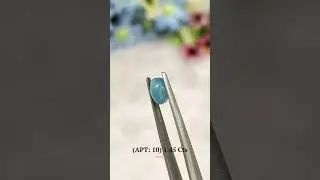 Apatite: 10 (1.45 Carat)