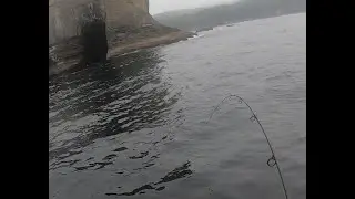 Tatoosh Island Fishing - Unknown Monster