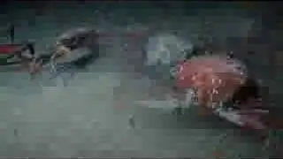 mumledyr 1