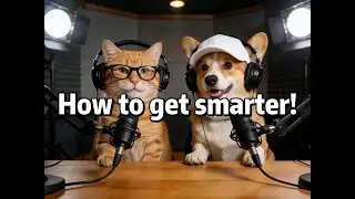 How to get smarter？