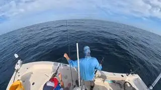 August catching Triggerfish at Port Canaveral