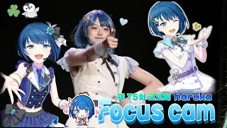 [제 75회 2월 코코페 무대] 점프하다 무릎탈골팀 | 모모점 하루카 focus cam(아이돌신예대 + 천사의 클로버 + Motto!!! + 팝핀캔디☆ 피버)