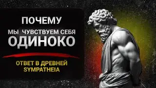 Как побороть чувство одиночества.  Стоическая идея Sympatheia и обретение связи