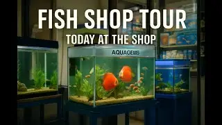 AquaGems Anamnagar &ndash; Heaven for Fish Keepers...