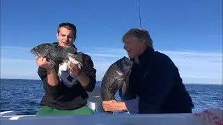 BLACK SEA BASS CATCH, CLEAN & COOK - Rhode Island Inshore Fishing - Ep 13