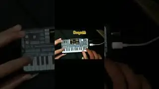 Paradise Free Fire🗿 #organdroid #paradisemahesa #public #jangkauanluas #ldivamusic #samudraaudio