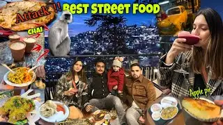 Best Street Food & Theme Cafe Shimla ❌ Langur Attack on Us ❌