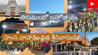  హంసవాహనంసేవ ఎంతఅద్భుతంగాజరిగిందో✨🙏 || తిరుమలలోవెంకటేశ్వరస్వామిని🙇‍♀️|| ఎంతచూసినా తనివితీరదు👀🥹