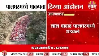 पालघरमध्ये लाल वादळ धडकलं, 12 प्रलंबित मागण्यांसाठी किसान सभेचा एल्गार | Palghar Protest News