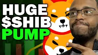 🚨 SHIB WHALES ON THE MOVE! 💰 MASSIVE BUY SIGNAL?! 🚀