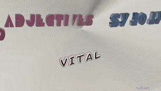 vital - 10 adjectives which are synonyms to vital (sentence examples)