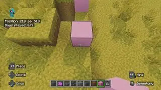 New years Minecraft stream.....world building