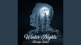 Winter Nights