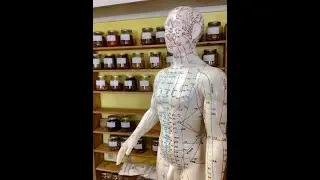 ☯️Helpful Tips🌿 For A Calming First Acupuncture Session☯️For People!👨&zwj;👩&zwj;👧&zwj;👦🌿#acupuncture #holistic