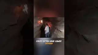 Why Do Torches Go Out in Caves? 🧐🔥 EXPLAINED!  #shorts #shortsvideo
