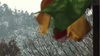 [美しき日本] 奈良　吉野山　金峯山寺