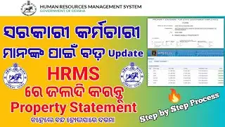 ଦେଖନ୍ତୁ HRMS ରେ କେମିତି ନିଜେ କରିପାରିବେ property statement || HRMS property statement online