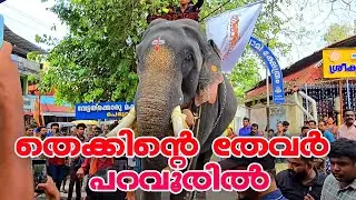 തെക്കിന്റെ തേവർ  പറവൂരിൽ THRIKKADAVOOR SIVARAJU  തൃക്കടവൂർ ശിവരാജു |Thrikkadavoor Sivaraju