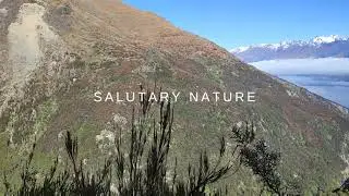 Boundary Creek Track - New Zealand