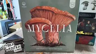 Szybka Wrzutka - Mycelia