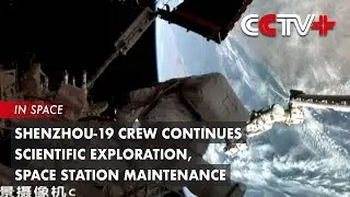 Shenzhou-19 Crew Continues Scientific Exploration, Space Station Maintenance