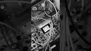 Dub Techno with Buchla Eurorack modular synth, T-Rex Tape Echo + Intellijel Reverb Tank