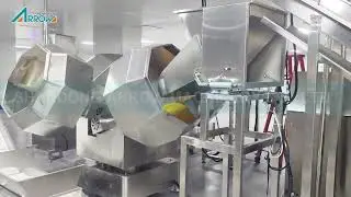 Pellet chips processing video in our client's factory
