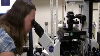 Advice for Future Scientists