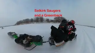 Селкеркские сосиски и доллар