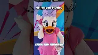 Hollywood Studios Character Search | Disney College Program Summer Alumni | Cool Kid Summer