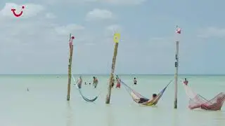 Holbox Tour| Explore the Island with TUI Musement