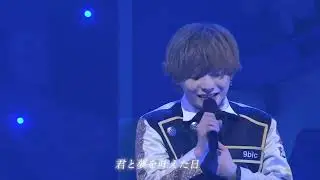 9bic / デルフィリウム