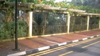 Faber Walk / Mount Faber (Southern Ridges) by market2garden