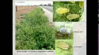 Native vegetation & invertebrates: landscapescale provision of ecosystem services