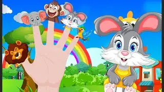 🦁 Animal Finger Family Song | Lion, Elephant, Monkey + More! | Fun Nursery Rhymes for Kids