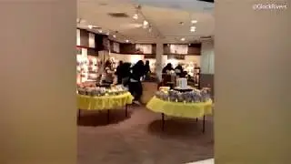 Here's the beef! Huge brawl erupts at Albany Beef Jerky Outlet