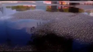 Unity5 Graphic Test - After the rain