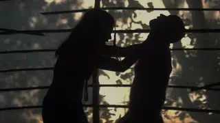 SHADOW FIGHT