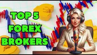 Top 5 Forex Brokers: THE BEST BROKERS 2024